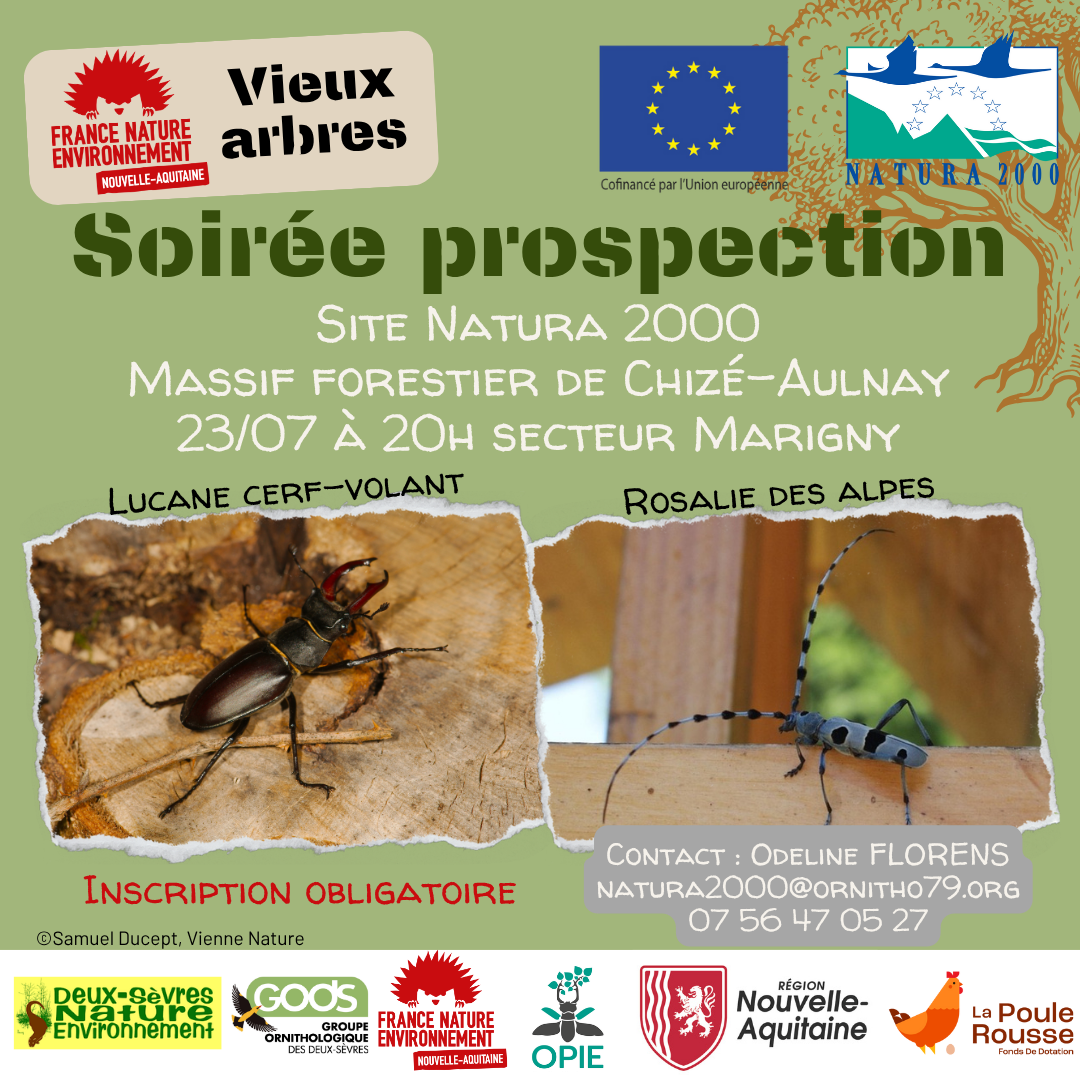Affiche soirée prospection Lucane et Rosalie