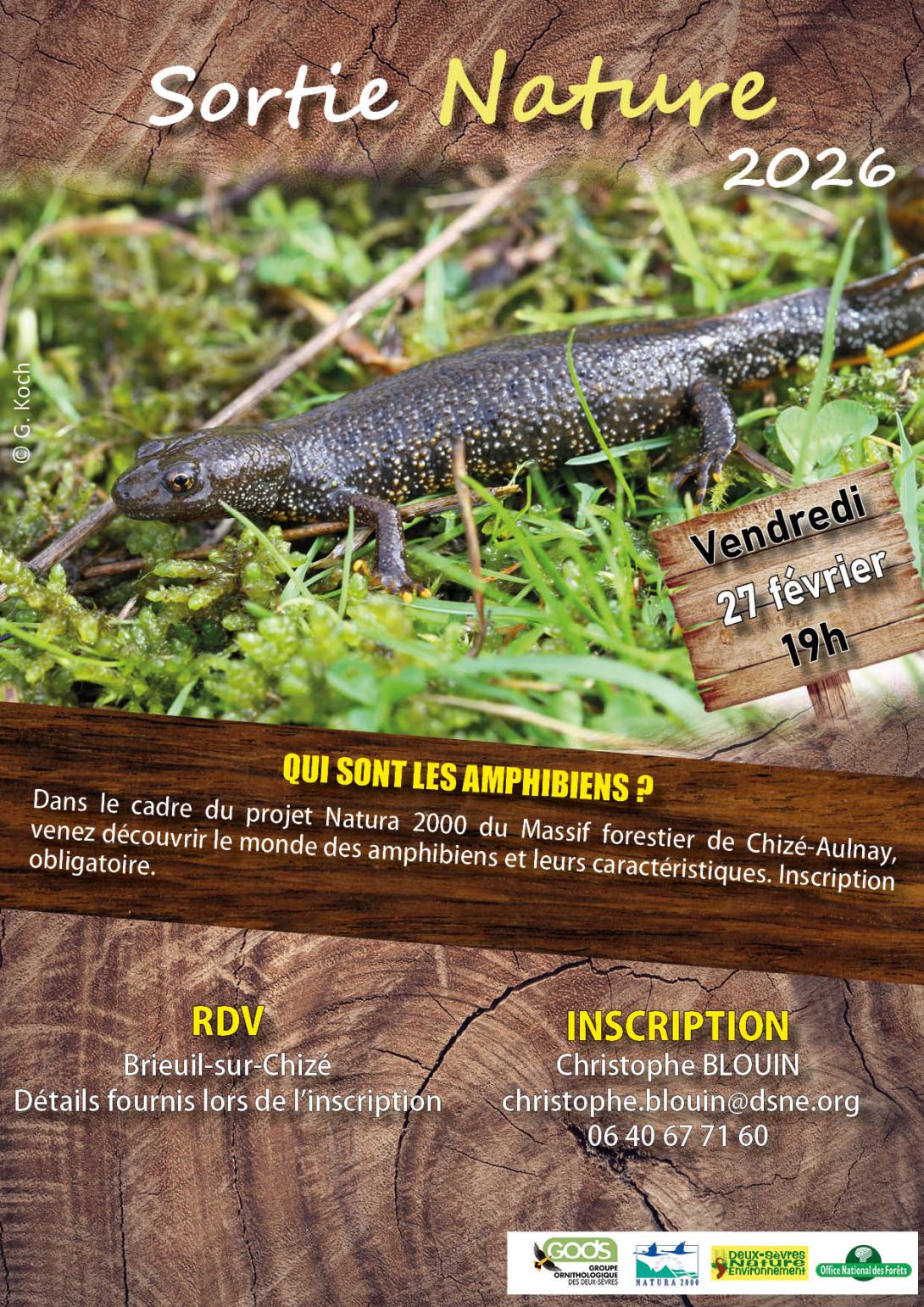 affiche sortie amphibiens 27022026